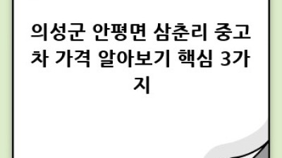 의성군 안평면 삼춘리 중고차 가격 확인!